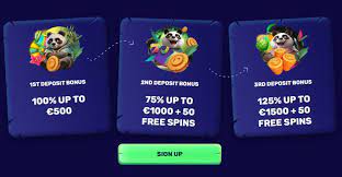 Présentation générale du site du casino Spinanga